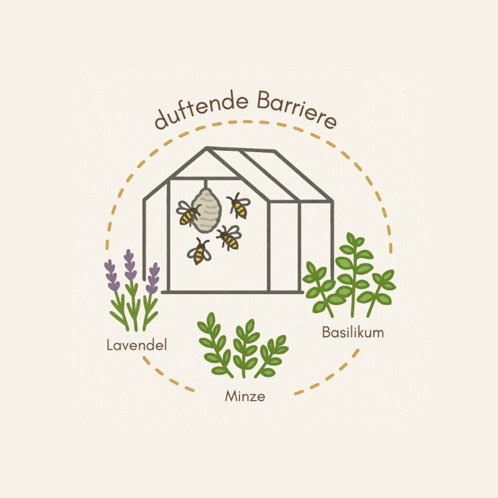 Vom friedlichen Umgang mit inneren Stacheln