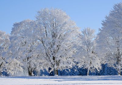 winter-9168141_1280 Ein Winterspaziergang