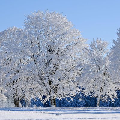 Ein Winterspaziergang